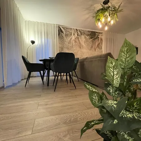 Scandiland Apartment Brasov