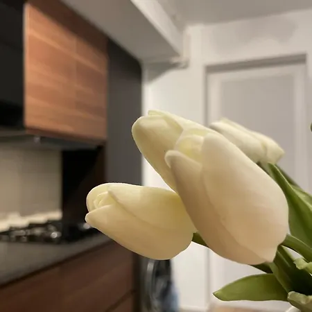 Apartment Scandiland