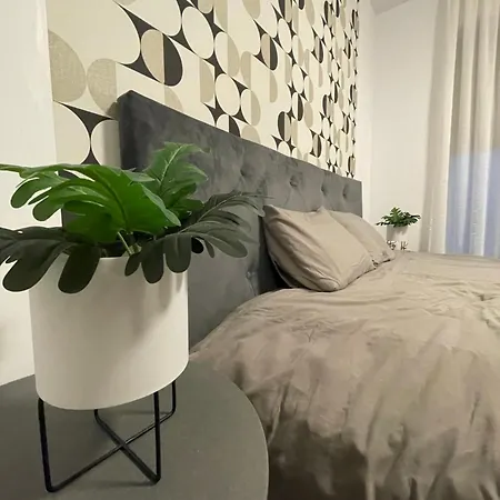 Apartment Scandiland